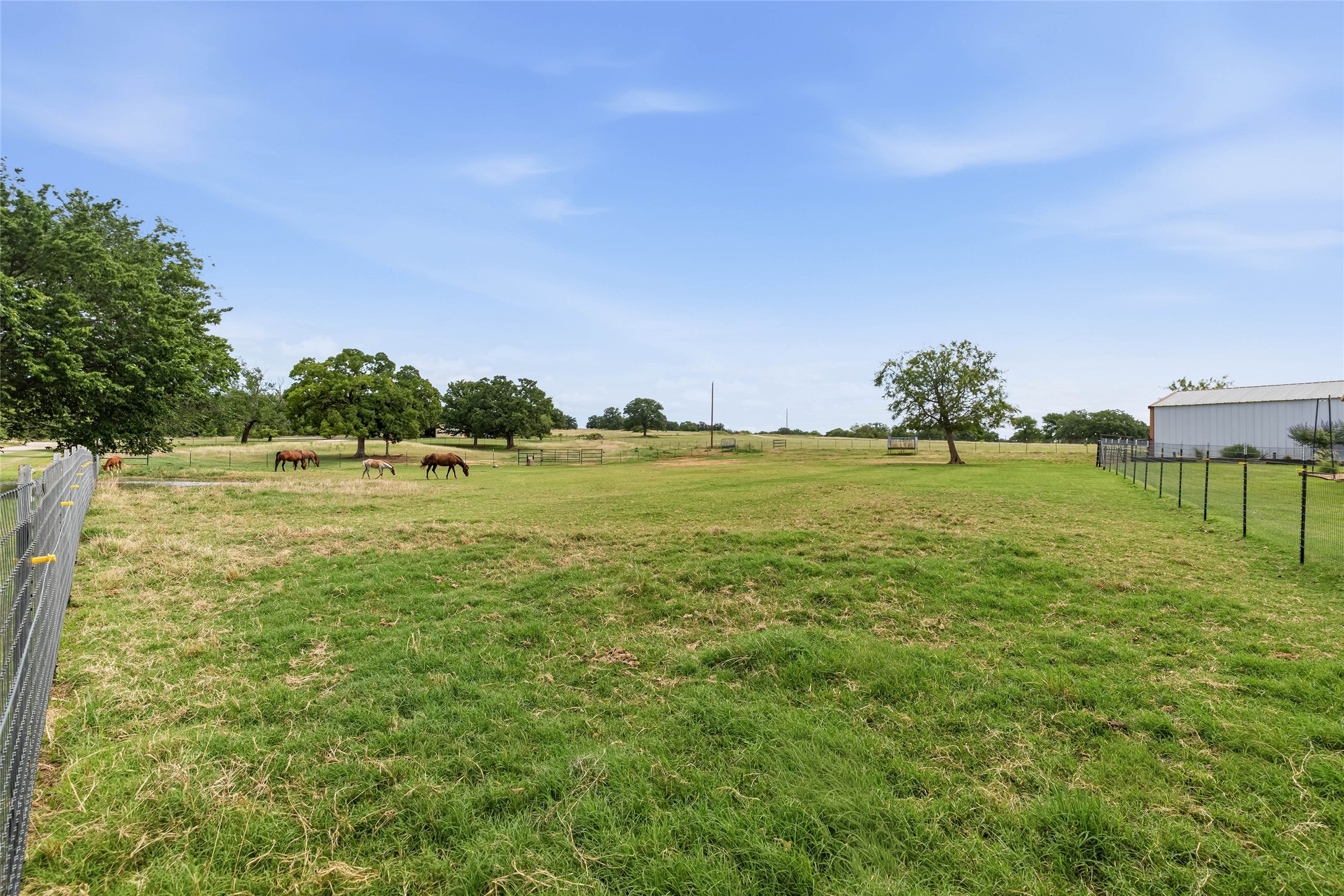 146 Private Road 1525 Bridgeport TX 76426