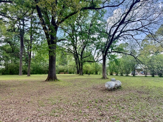 1030 Lakeside Drive Fort Towson OK 75735