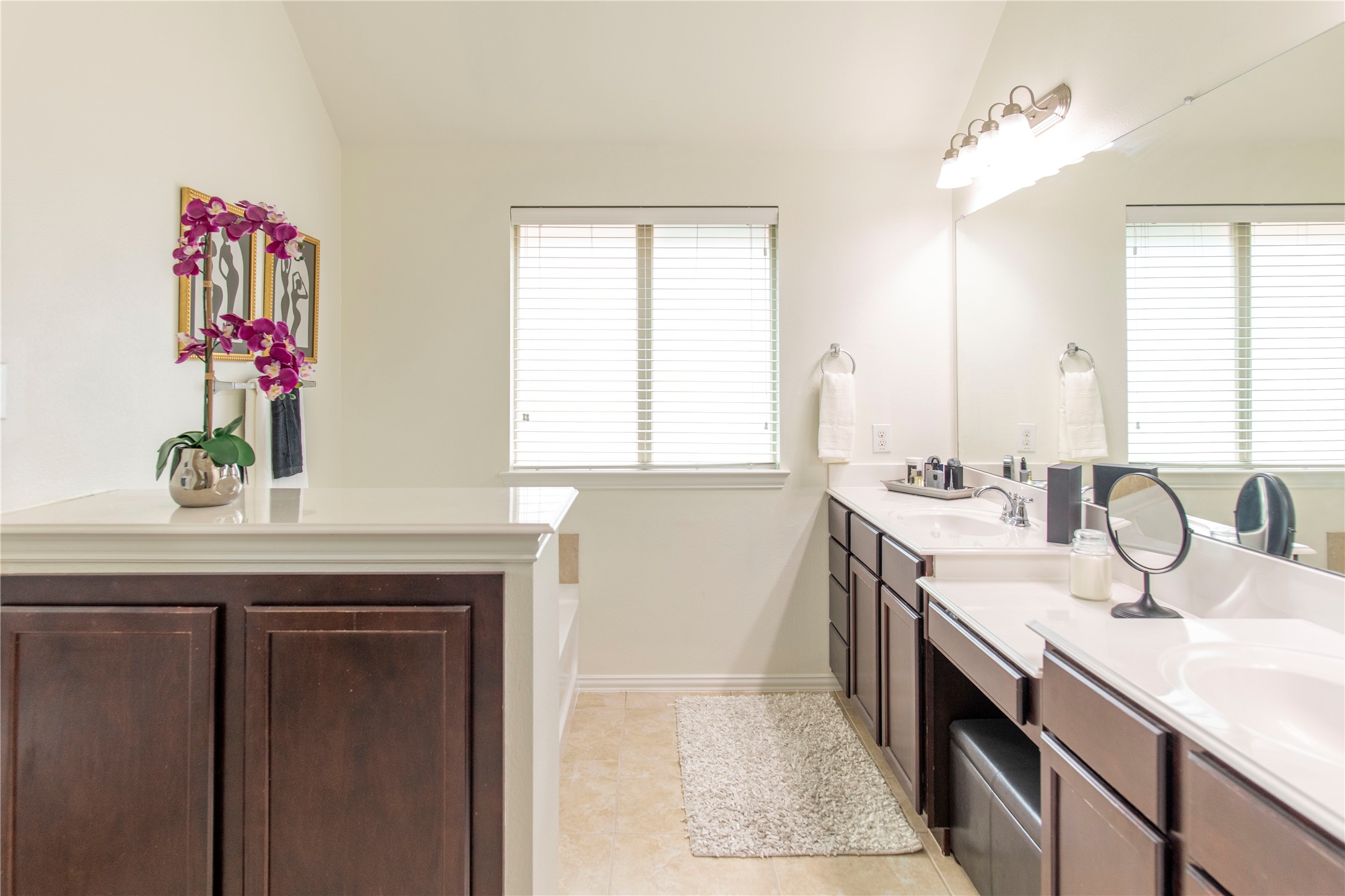 1509 Toucan Drive Little Elm TX 75068