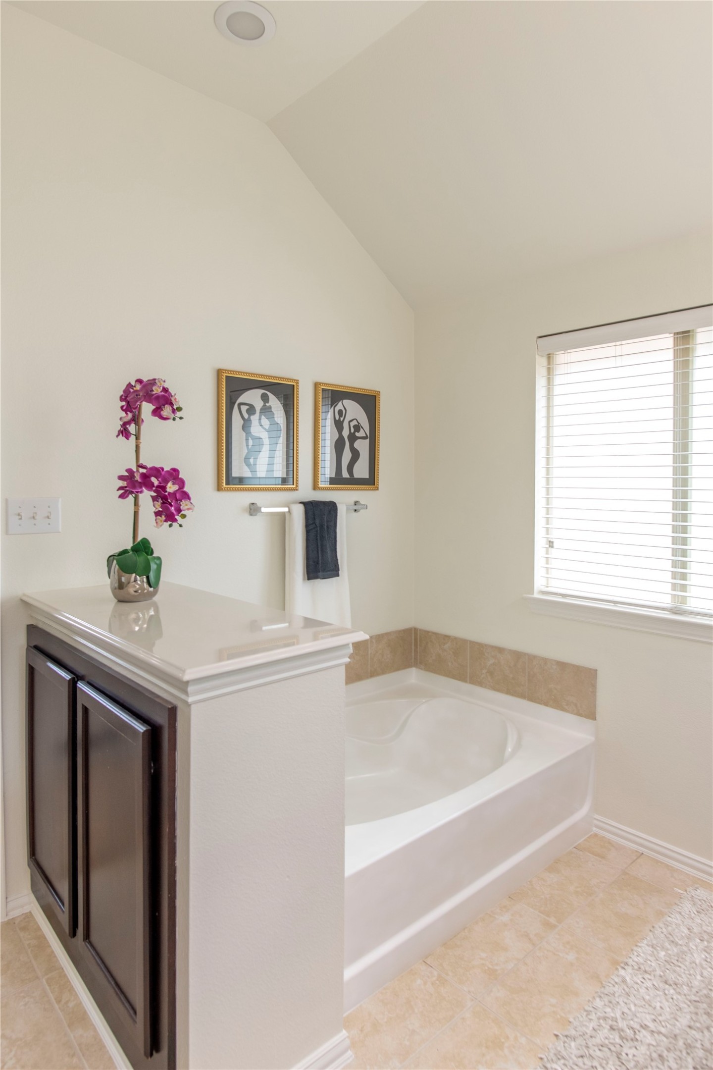 1509 Toucan Drive Little Elm TX 75068