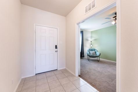 315 Citrus Drive Fate TX 75189