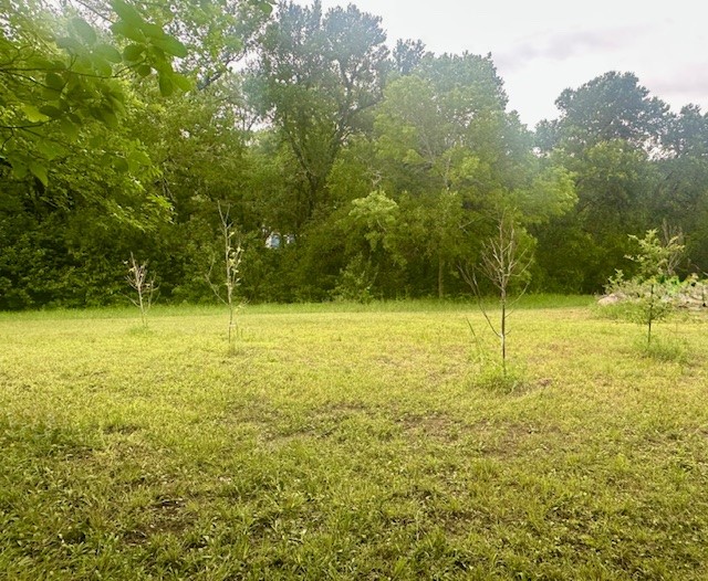 1229 Epps Road Palmer TX 75152