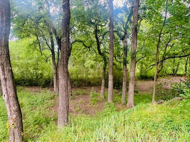 1229 Epps Road Palmer TX 75152