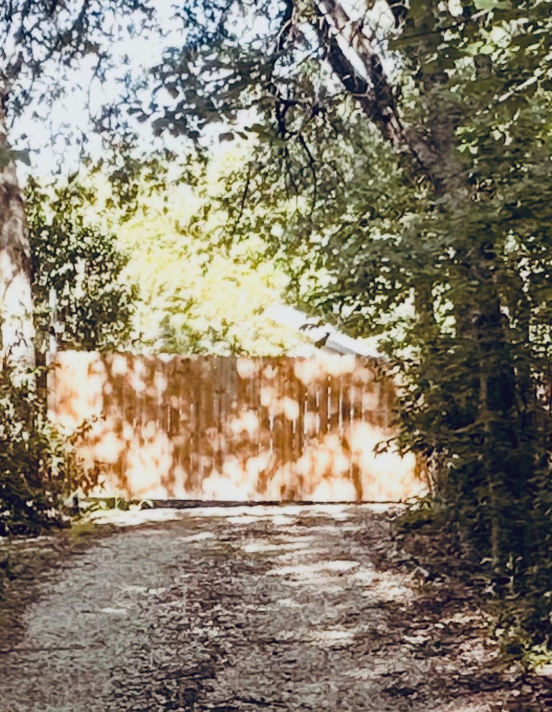 1229 Epps Road Palmer TX 75152