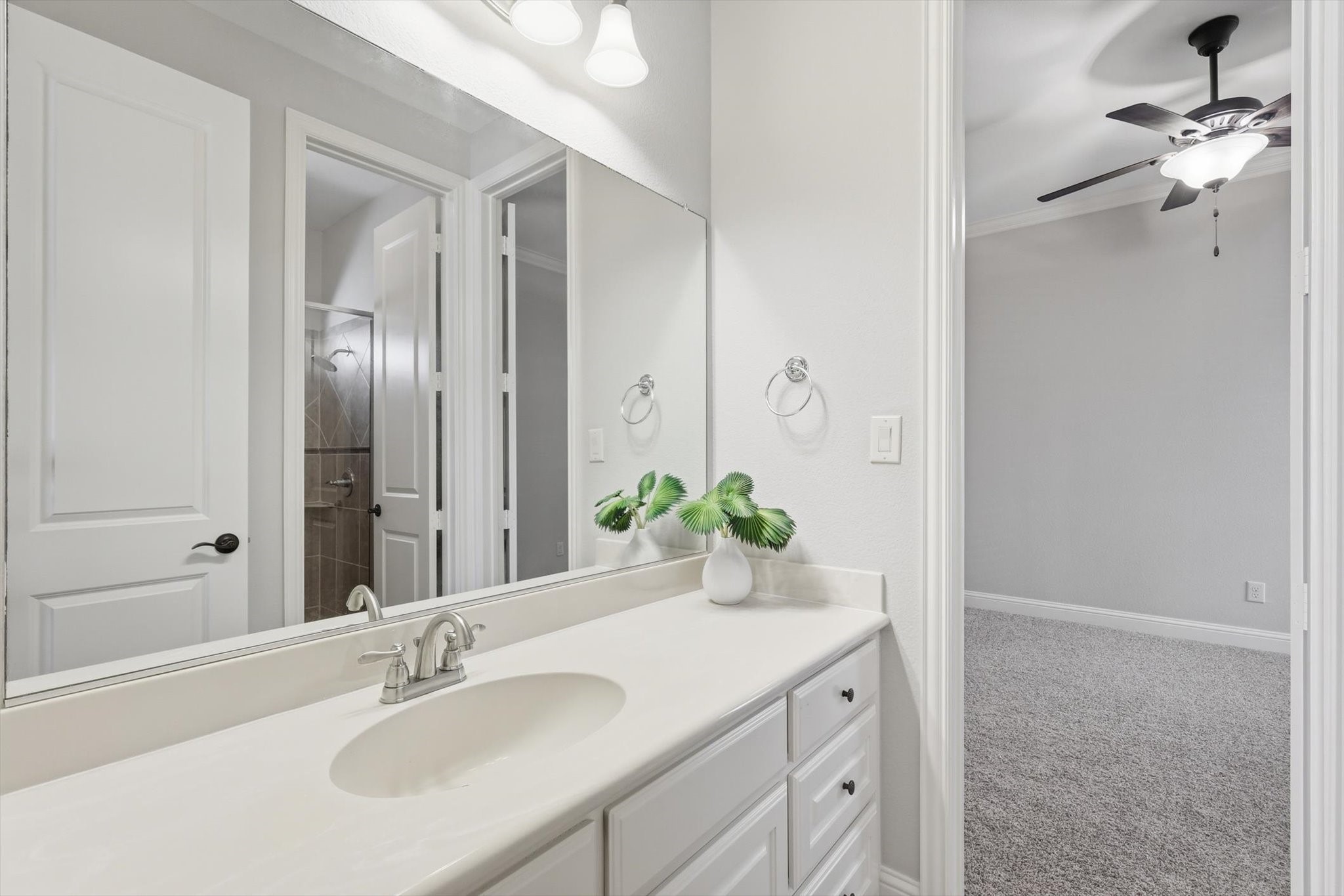 2409 Surrey Court Flower Mound TX 75022