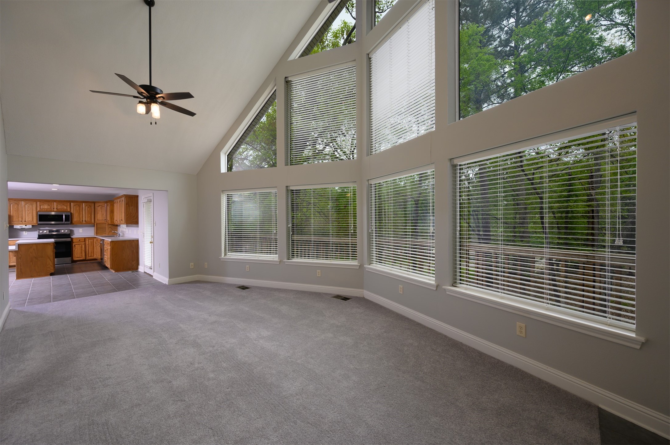 203 Lakewood Circle Holly Lake Ranch TX 75765