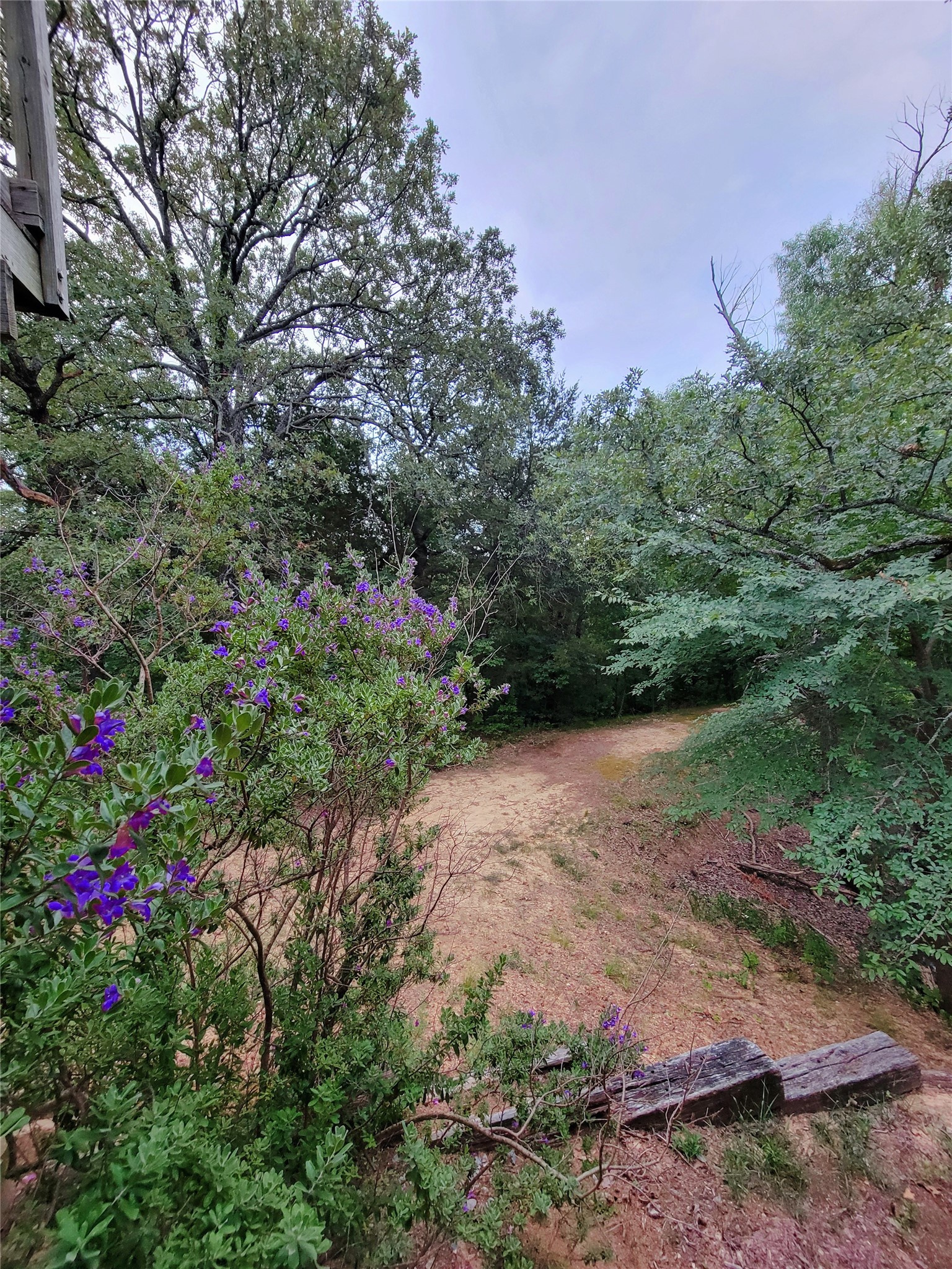 161 Colt Drive Sadler TX 76264