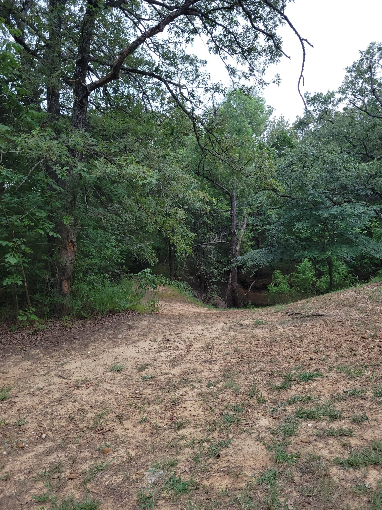 161 Colt Drive Sadler TX 76264