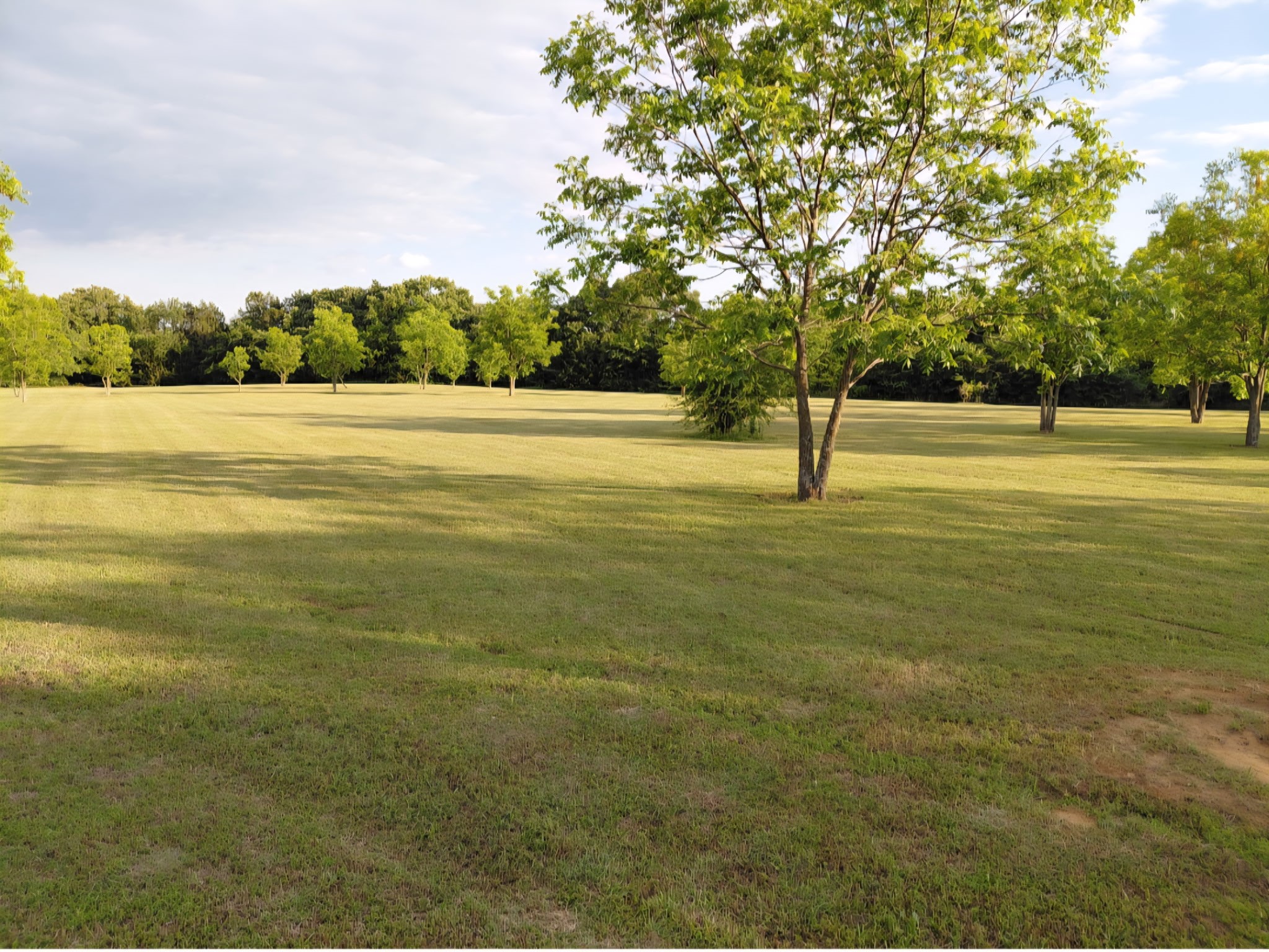 161 Colt Drive Sadler TX 76264