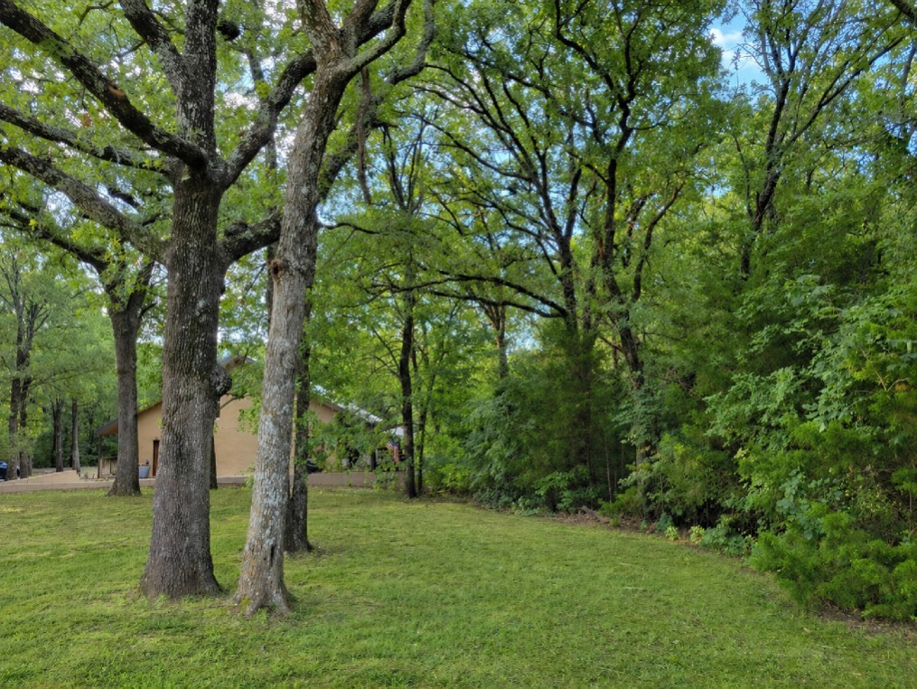 161 Colt Drive Sadler TX 76264