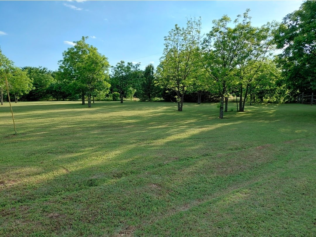 161 Colt Drive Sadler TX 76264