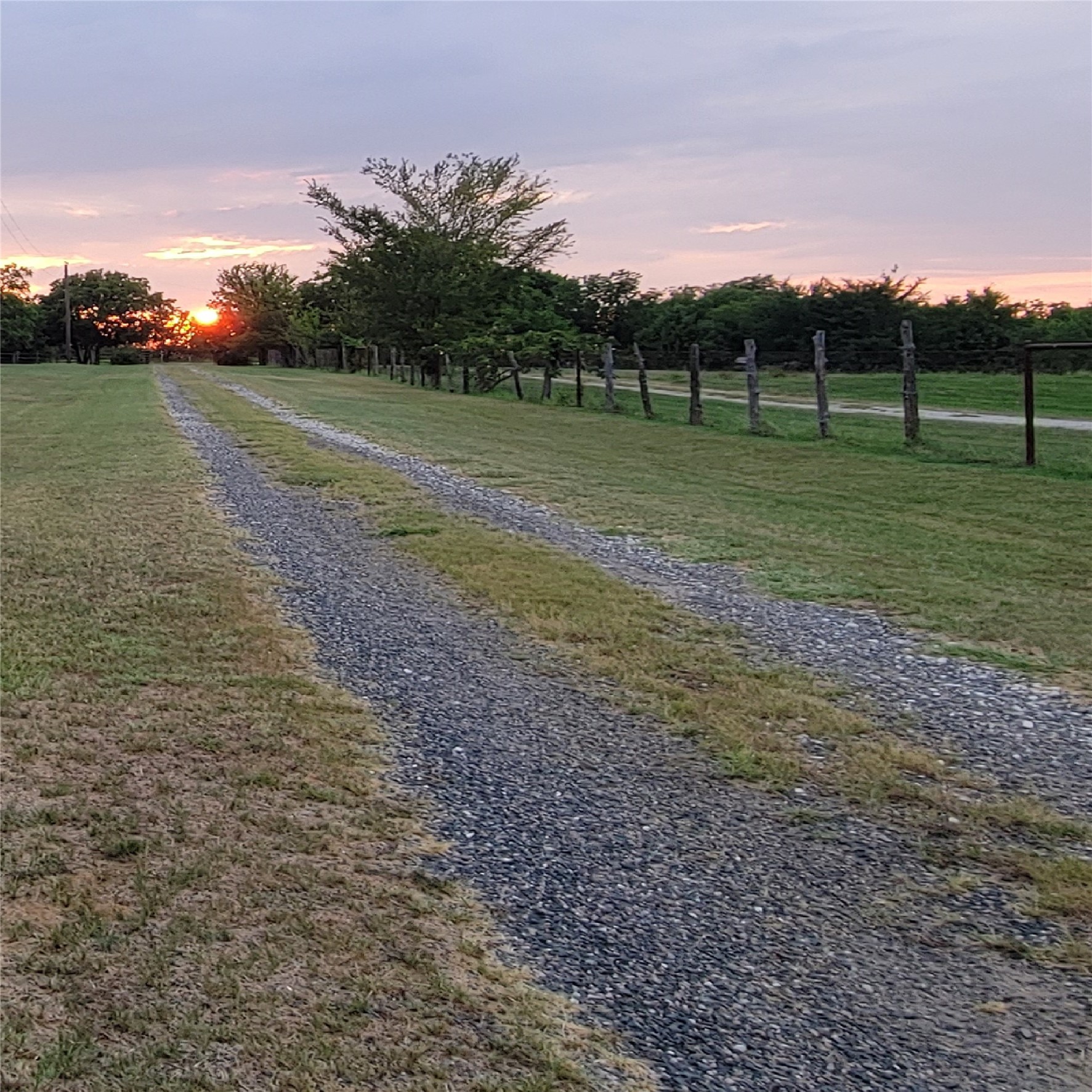 161 Colt Drive Sadler TX 76264