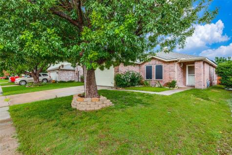 2713 Peach Drive Little Elm TX 75068