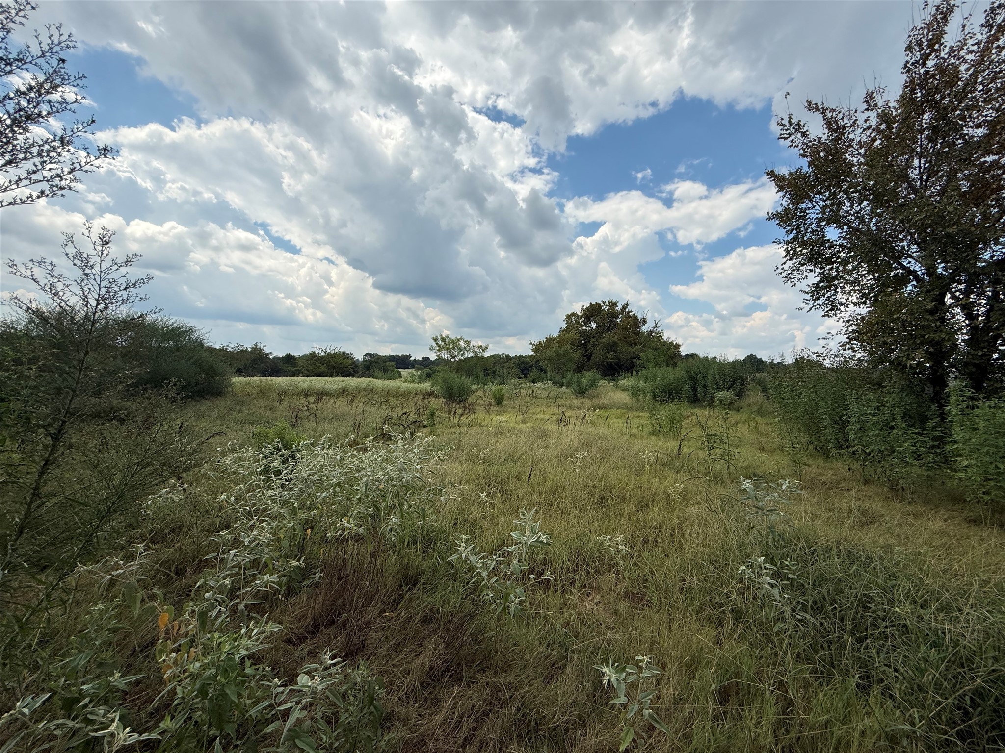 2880 Farm Road 2560 Sulphur Springs TX 75482