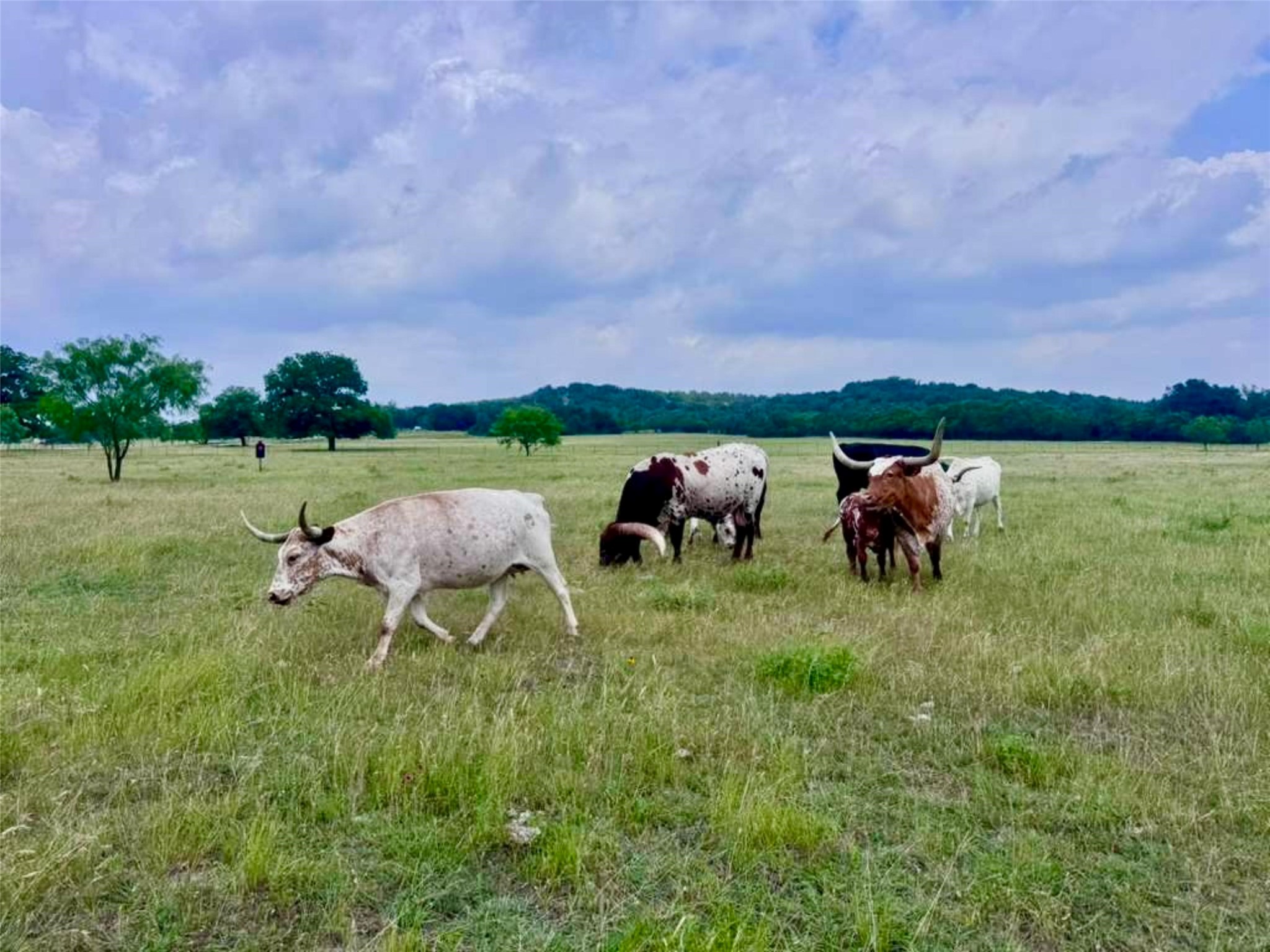 4658 County Road 163 Stephenville TX 76401