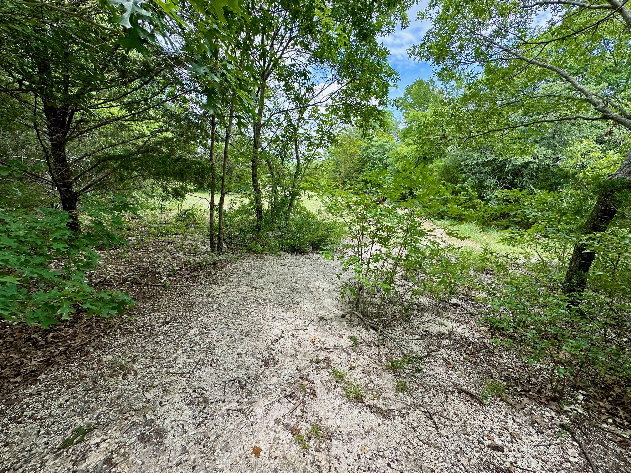 11854 Sheffield Drive Anna TX 75409