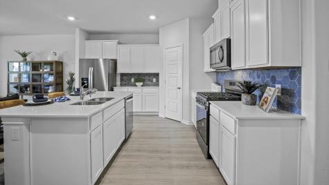 427 Epiphany Lane Lavon TX 75166