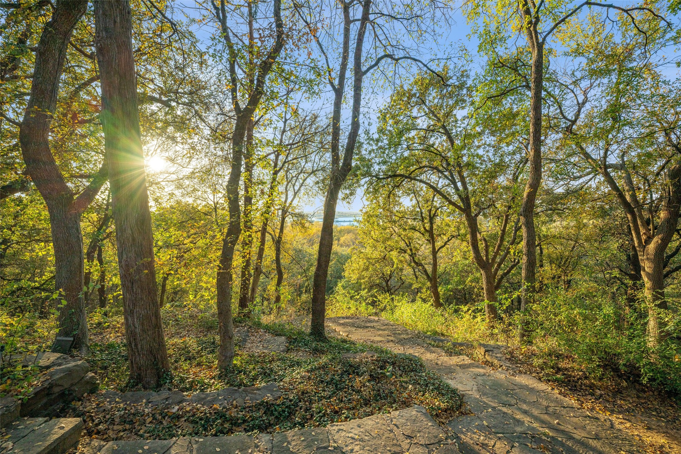 3000 Shadow Drive W Arlington TX 76006