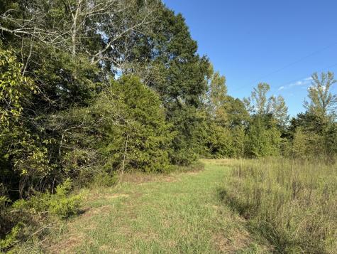 137 Cr 2362 Clarksville TX 75412