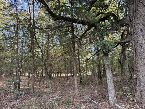 137 Cr 2362 Clarksville TX 75412