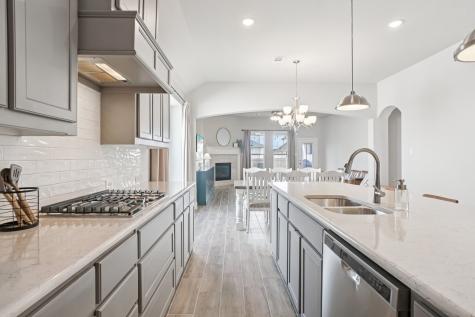 1340 Coneflower Drive Frisco TX 75033