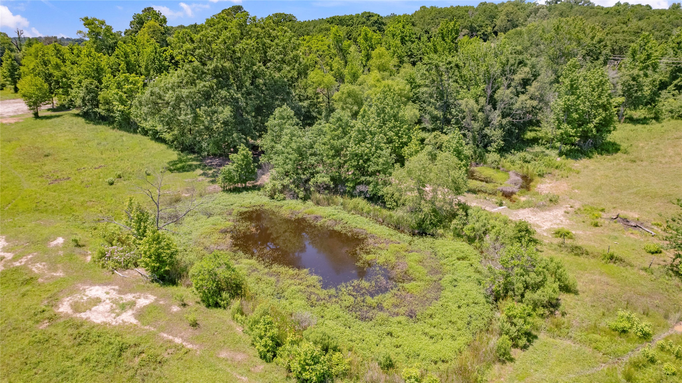 12250 County Road 3513 Brownsboro TX 75756