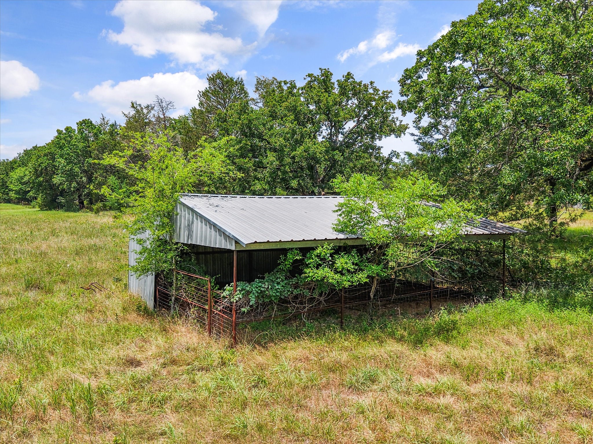 4155 Fm 3096 Kerens TX 75144