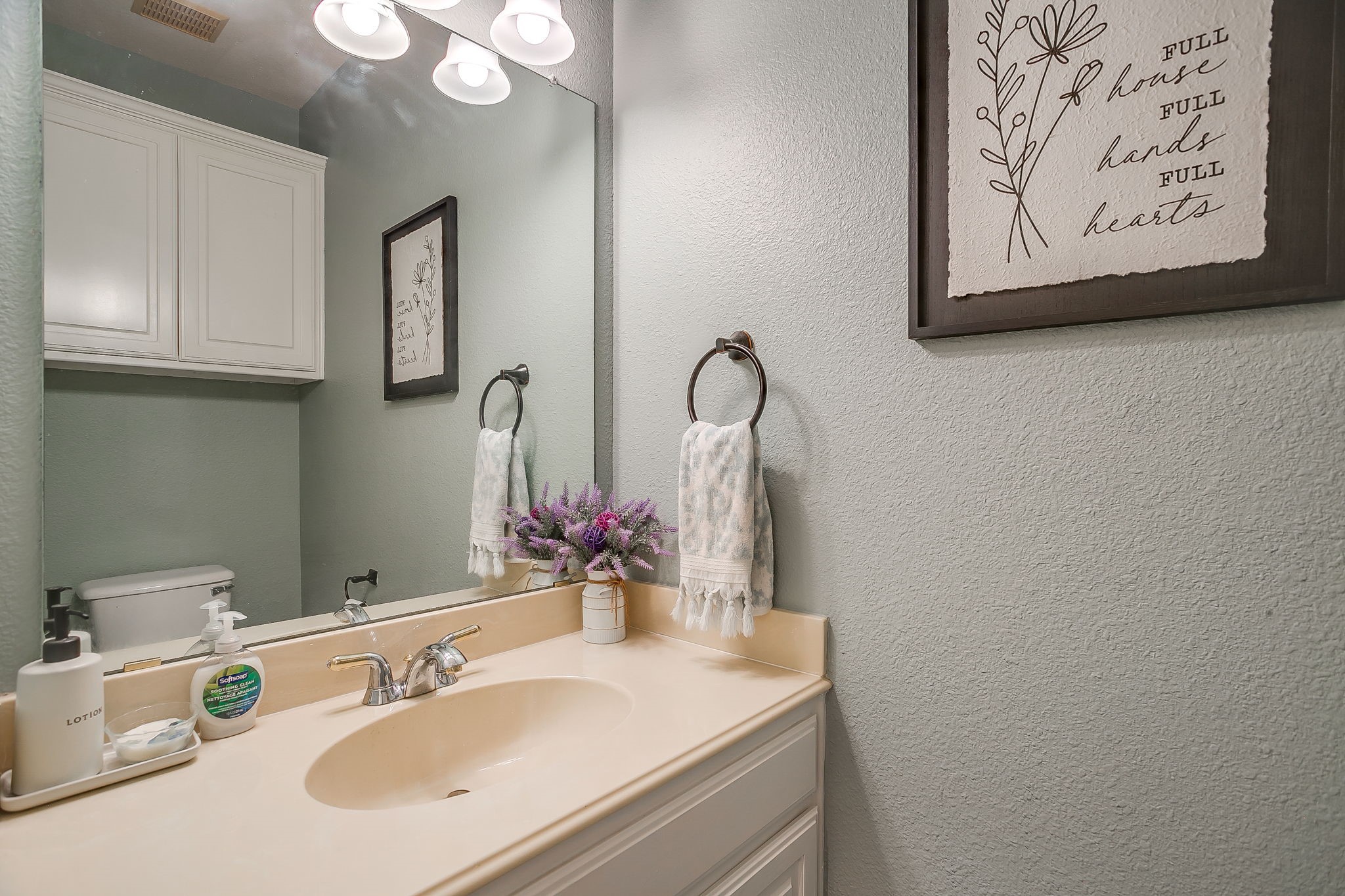 3009 Big Springs Drive Joshua TX 76058