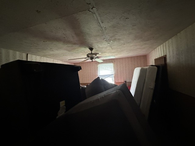 419 W Pine Whitewright TX 75491