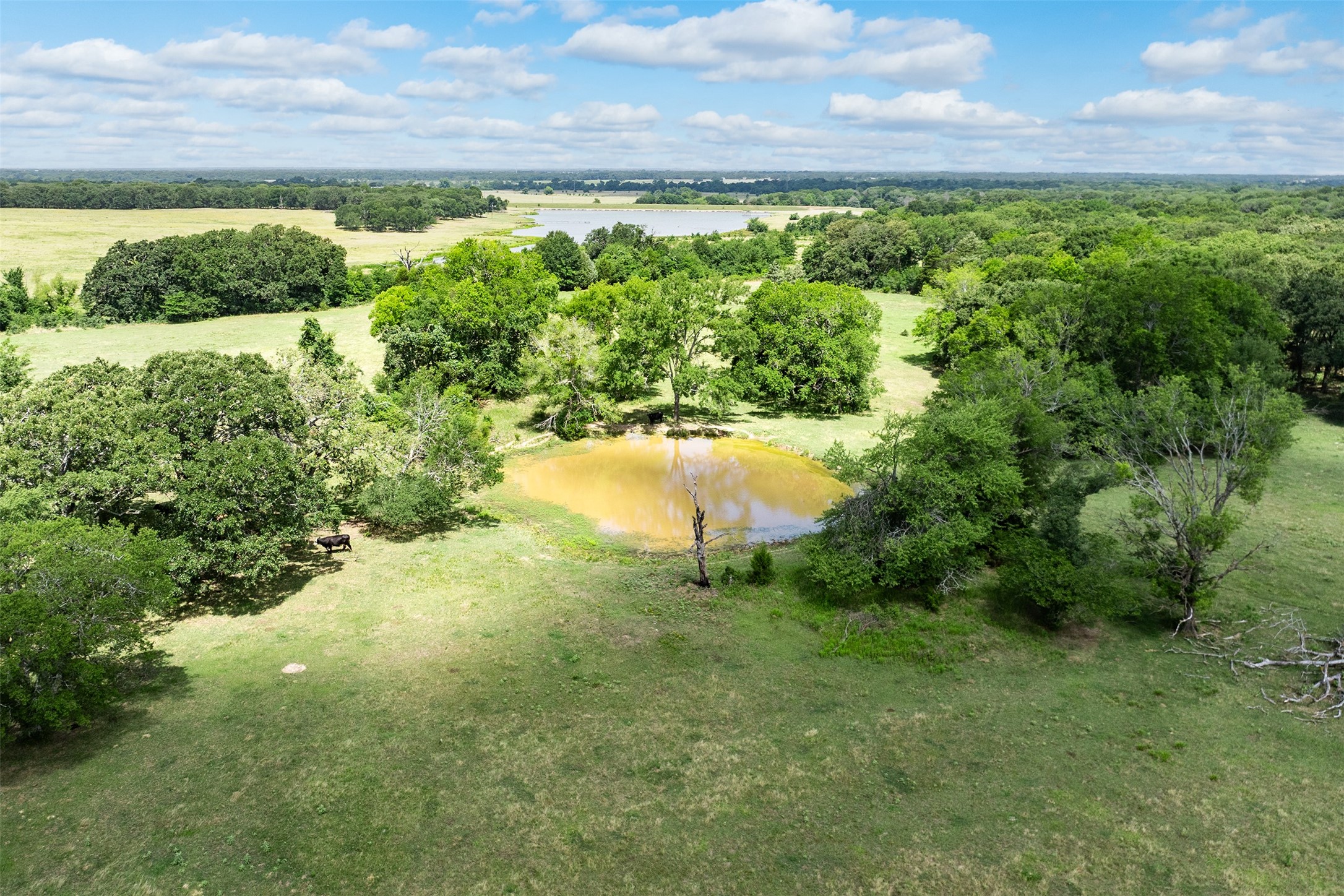 32650 Fm 47 Highway Canton TX 75103