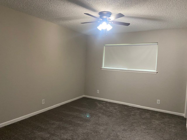 1013 SE 3rd Street Grand Prairie TX 75051