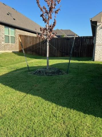 203 Mockingbird Drive Waxahachie TX 75165