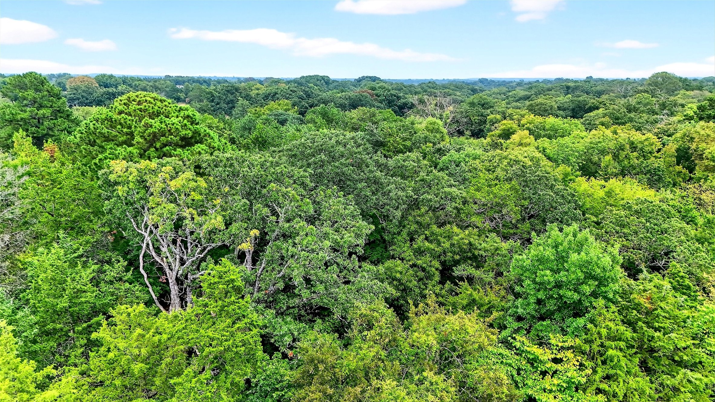 257 Russell Lane Denison TX 75021