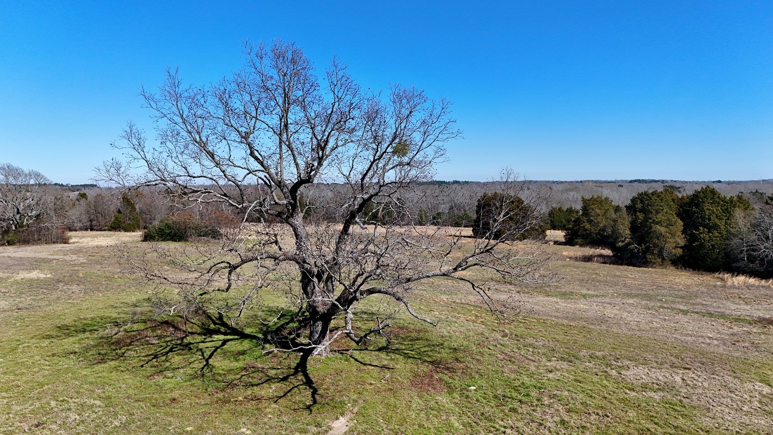 4101 Cr 3703 Athens TX 75752