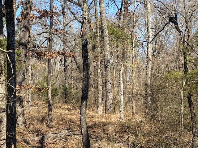 4101 Cr 3703 Athens TX 75752