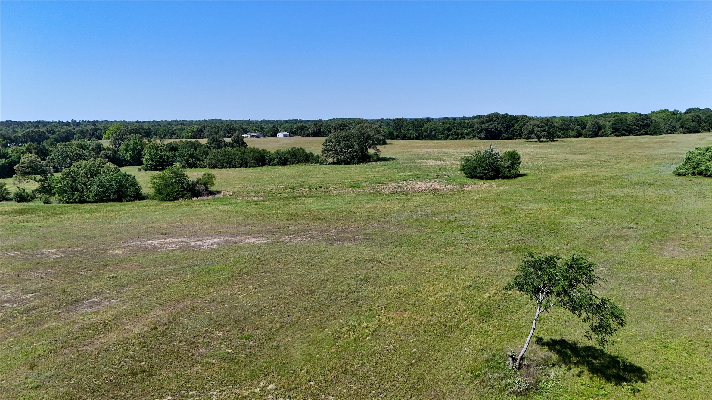 4101 Cr 3703 Athens TX 75752
