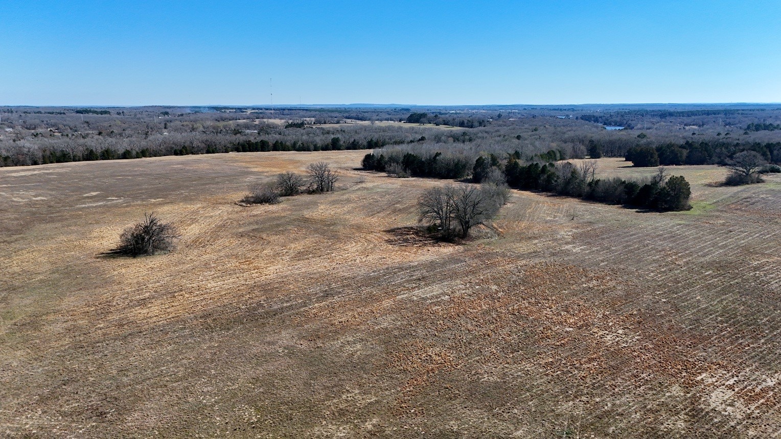 4101 Cr 3703 Athens TX 75752