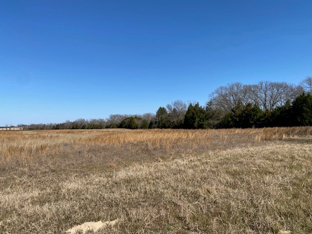 4101 Cr 3703 Athens TX 75752