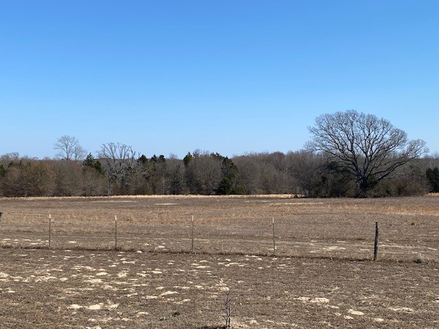 4101 Cr 3703 Athens TX 75752