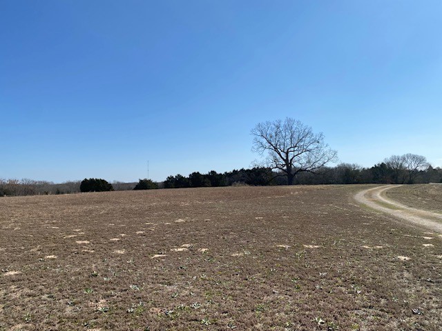 4101 Cr 3703 Athens TX 75752
