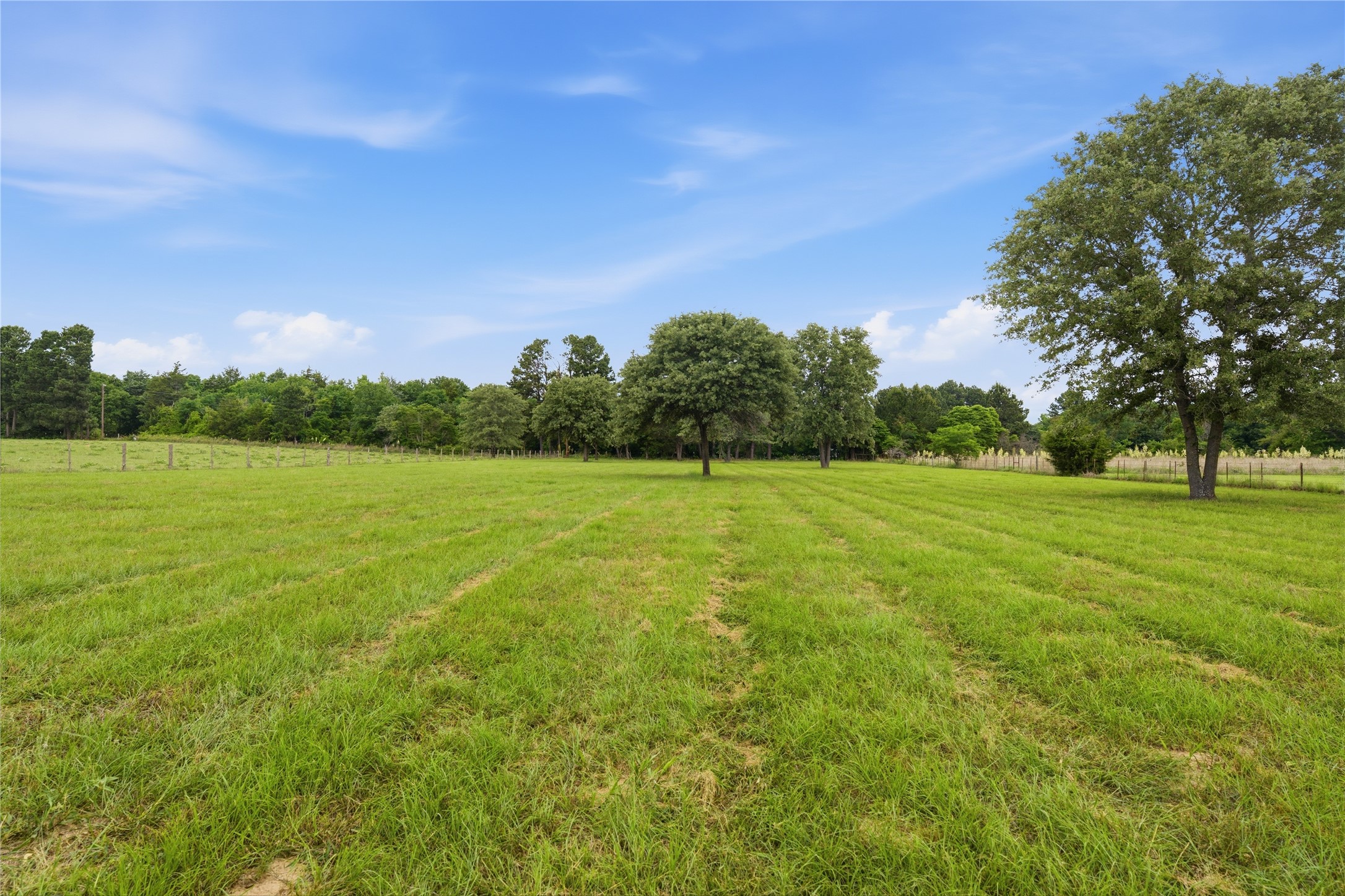 11219 Fm 317 Murchison TX 75778