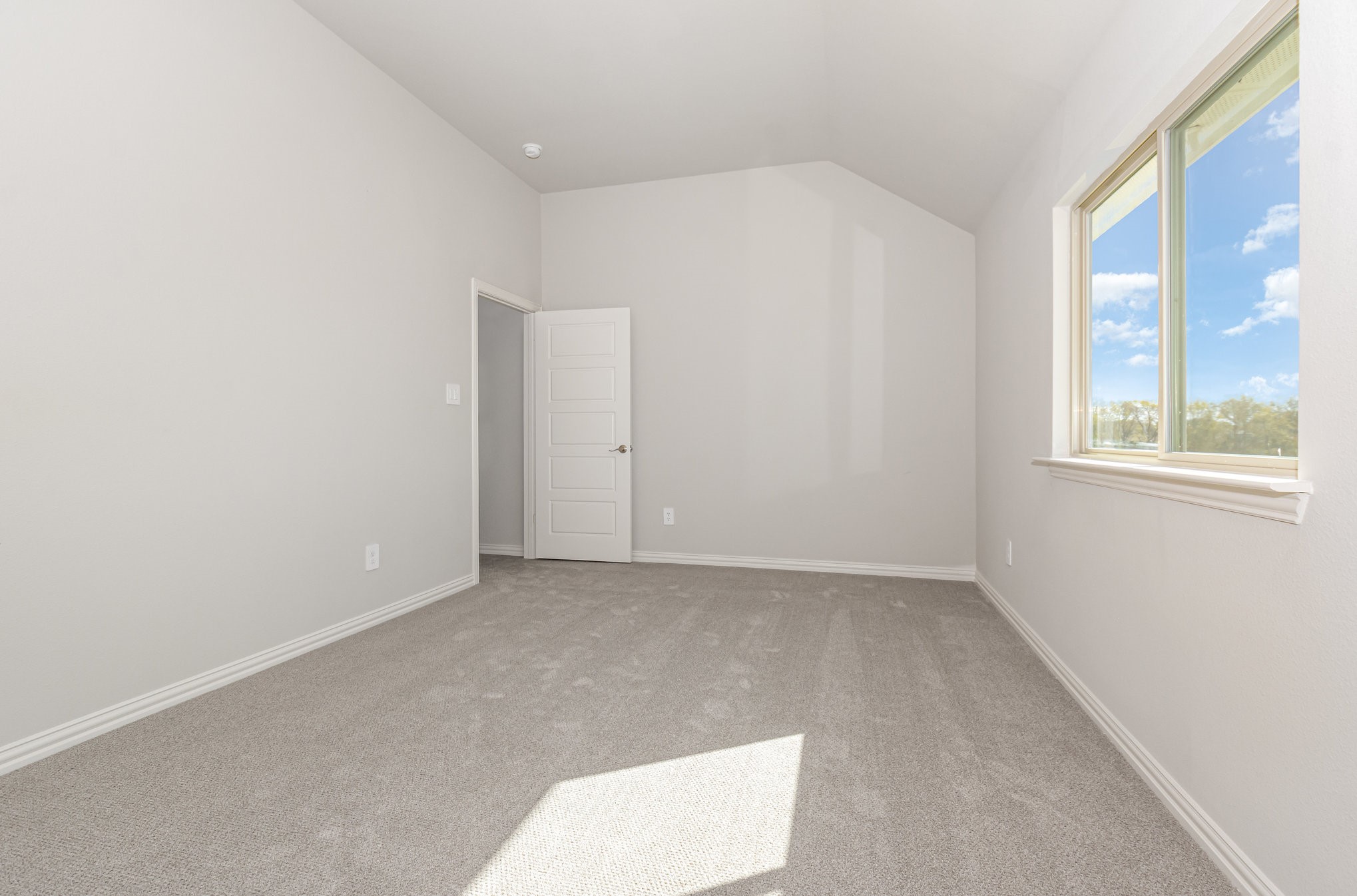 1201 Jungle Drive Forney TX 75126