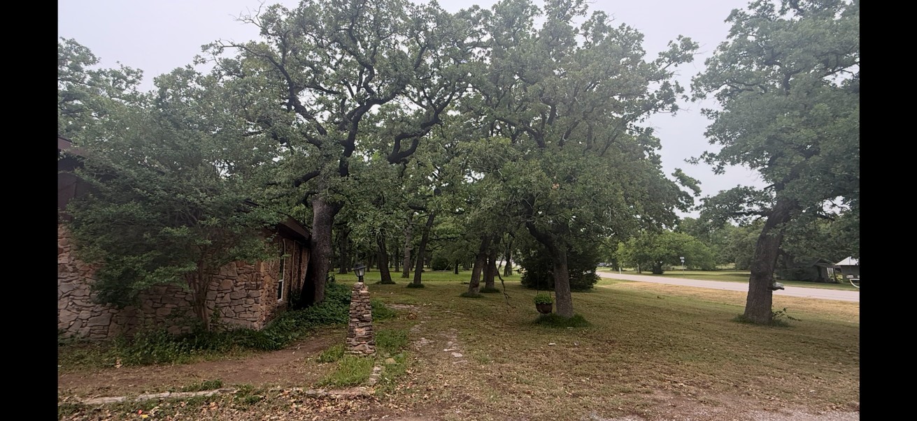 703 W Sherman Street Chico TX 76431