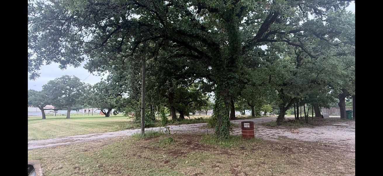 703 W Sherman Street Chico TX 76431