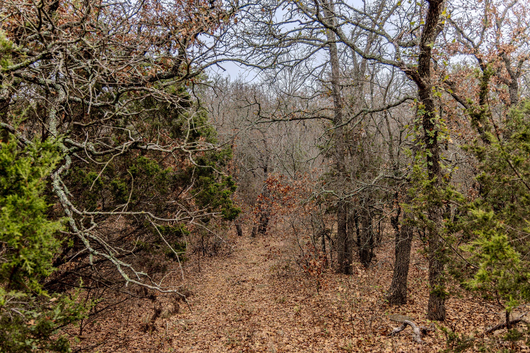 2946 Fm 52 Graford TX 76449
