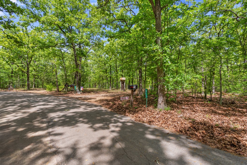 670 County Road 1699 Alba TX 75410