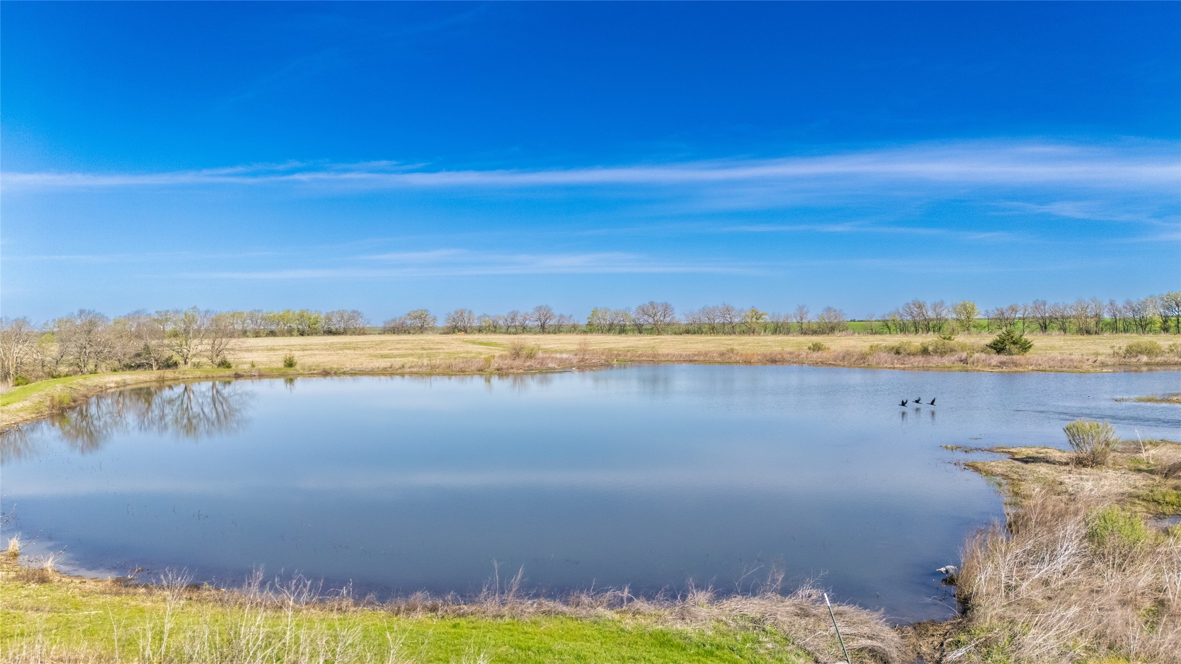 50 County Road 3400 Pecan Gap TX 75469