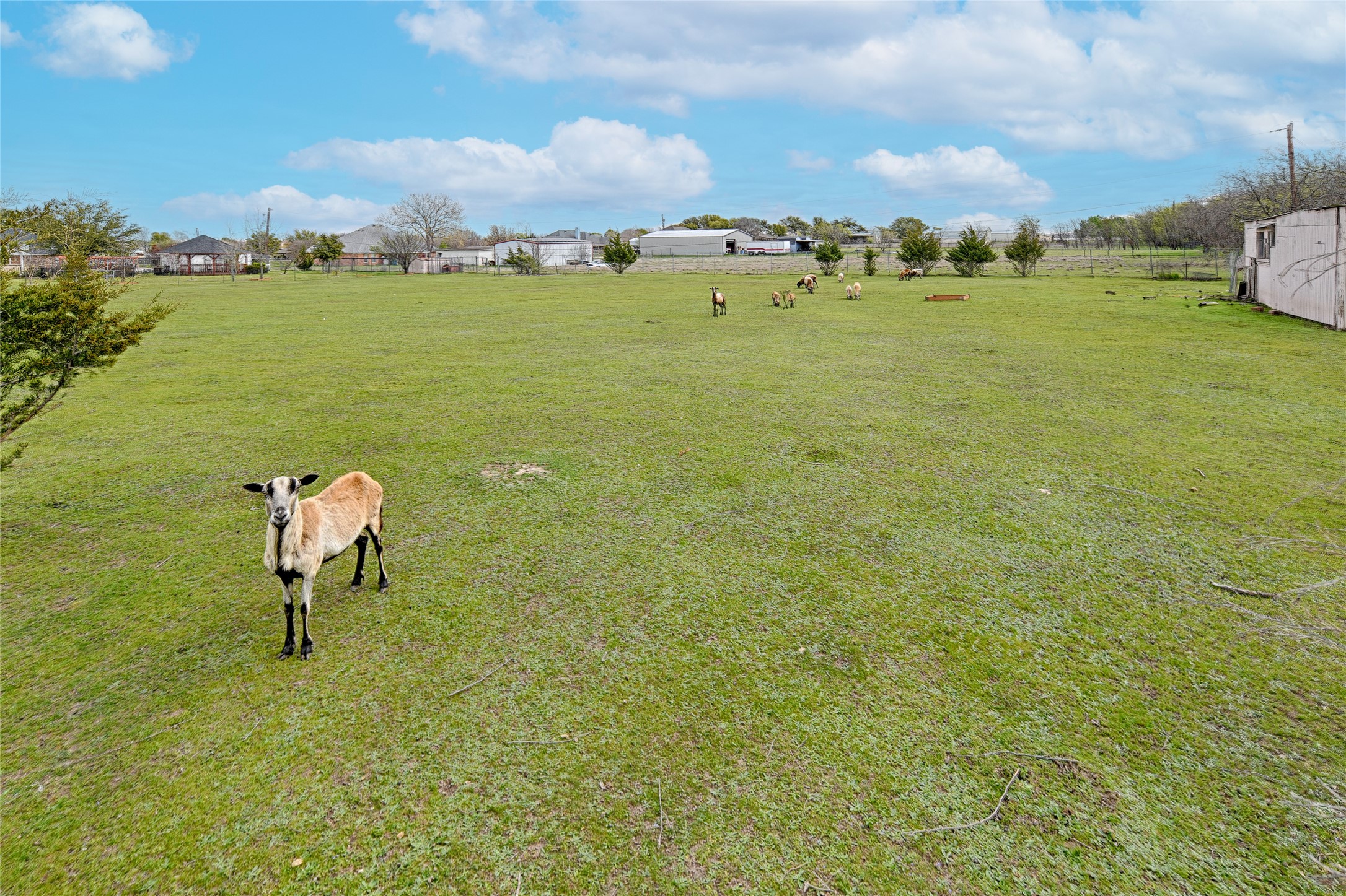 124 Berry Drive Haslet TX 76052
