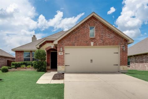 517 Indian Paintbrush Fate TX 75087