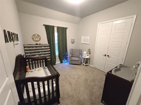 1441 Grassy Meadows Drive Burleson TX 76058